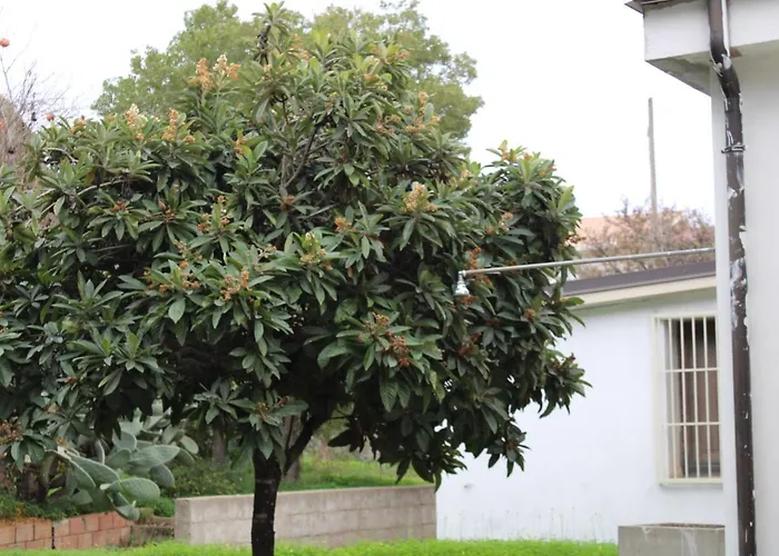 Luigina E Orazio,cardedu, 7 Posti Letto