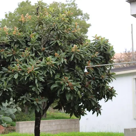 Luigina E Orazio,cardedu, 7 Posti Letto